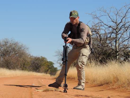 Photographing a Puff Adder on Safari