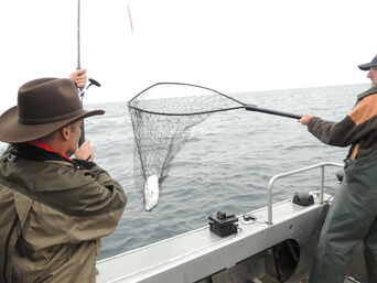 alaska-fishing-homer-gary-lewis-outdoors